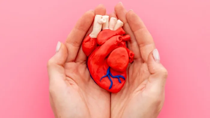 Imatge il·lustrativa d'un cor humà Imatge il·lustrativa d'un cor humà